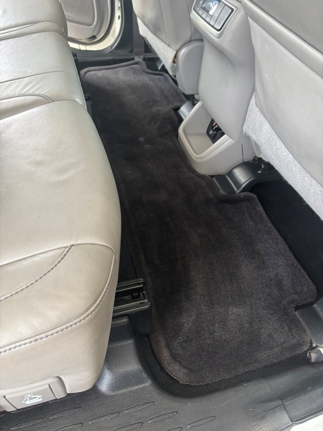 Rear vehicle floor mat after cleaning, showing pet hair and debris removed.