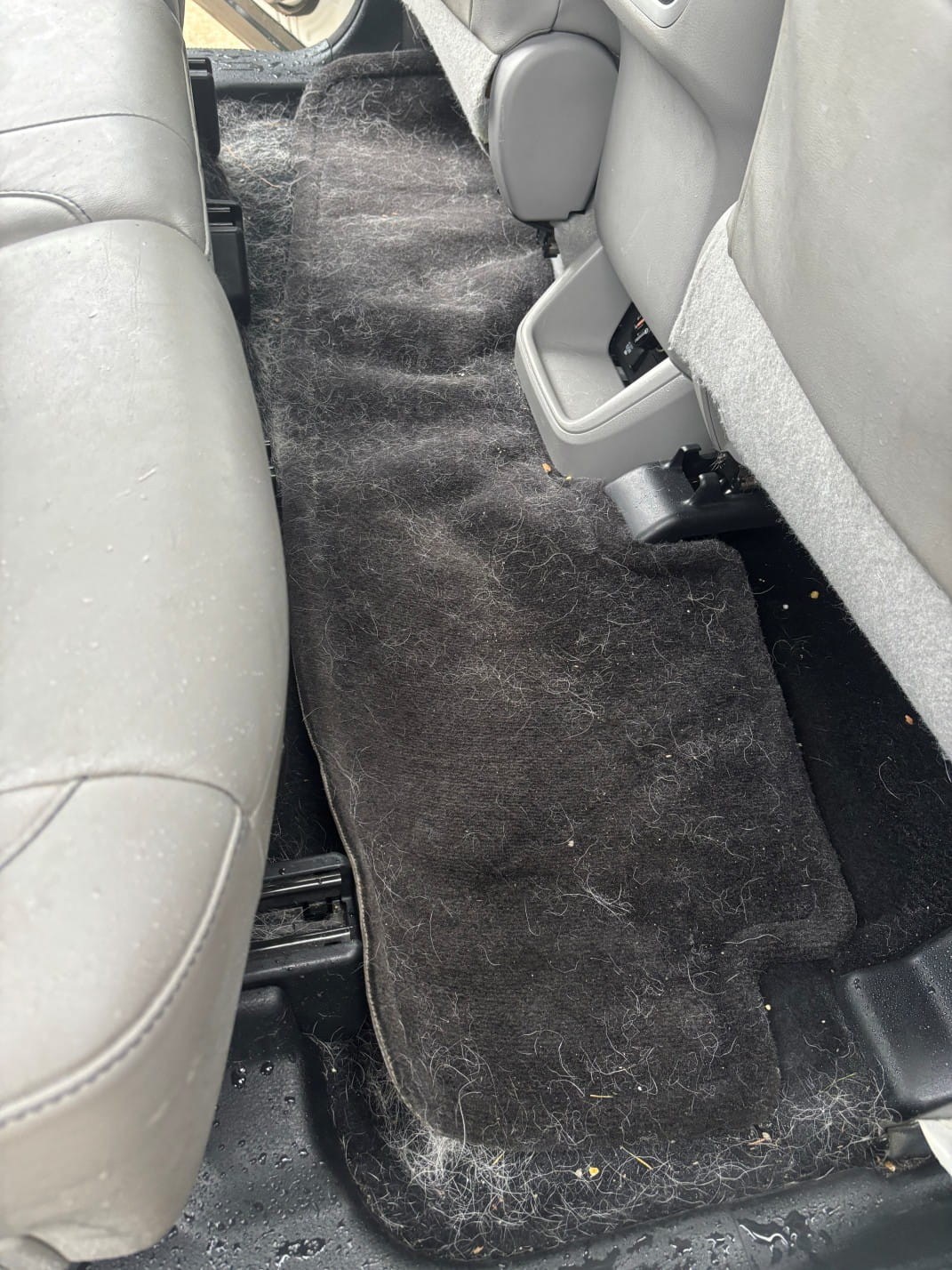 Carpet Cleaning Before Rear vehicle floor mat before cleaning, covered with pet hair and debris.